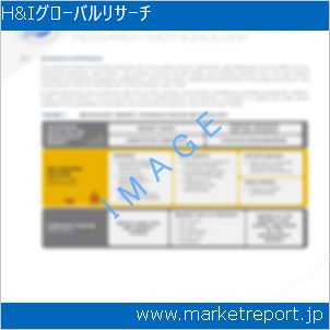 市場と産業調査レポートのイメージ